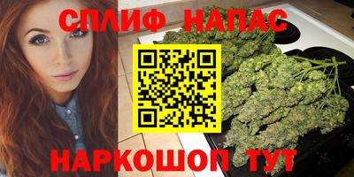 apvp Бийск