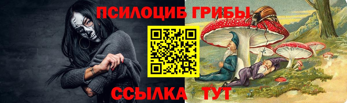 Орехово-Зуево  Галлюциногенные грибы MAGIC MUSHROOMS  Вход с VPN 
