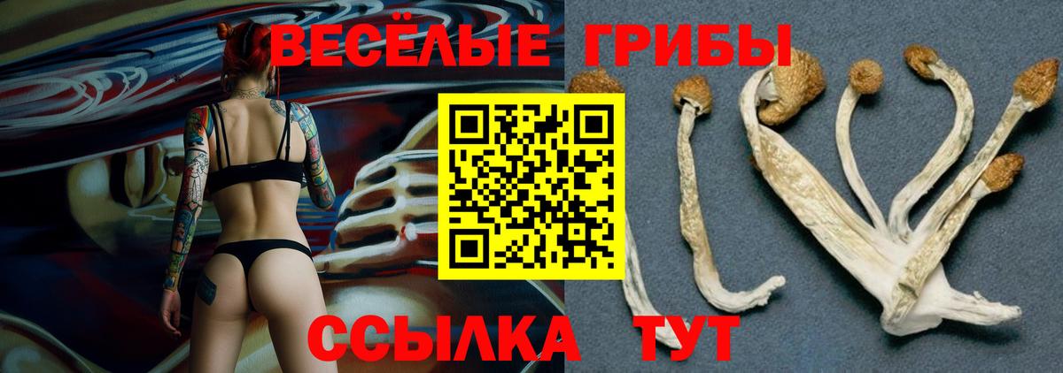 Псилоцибиновые грибы MAGIC MUSHROOMS Орехово-Зуево